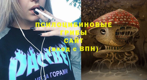 индика Алексеевка
