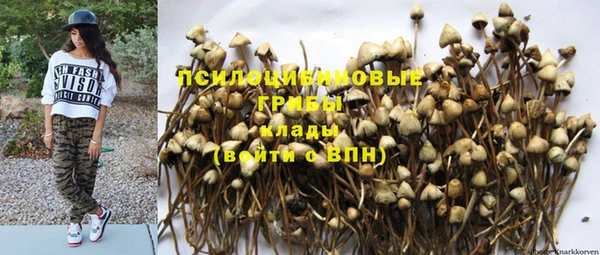 индика Алексеевка