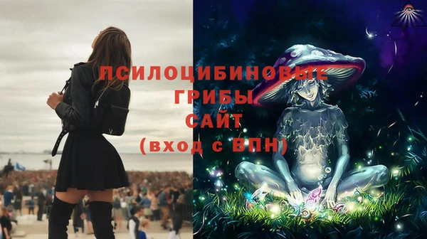 таблы Алексин