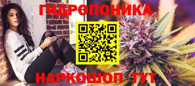 Альфа ПВП Малгобек