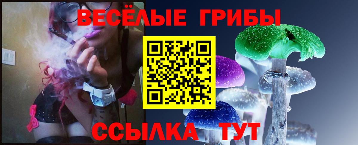 Павлово  сколько стоит  Вход с VPN  Псилоцибиновые грибы Magic Shrooms  Псилоцибиновые грибы прущие грибы 