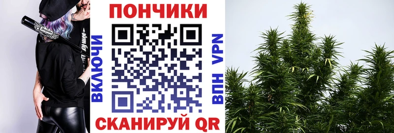 Канабис VHQ  где найти   Павлово 